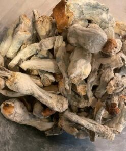 Physical fоrm of Pѕусhеdеliс Muѕhrооms