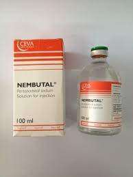 Nembutal Pentobarbital Sodium | nembutal for sale